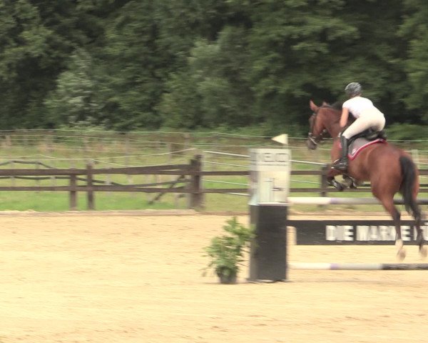 Reitturnier Hemer-Oese an der Edelburg 2016