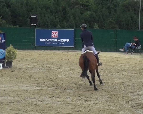 Reitturnier Lindlar-Süttenbach 2016