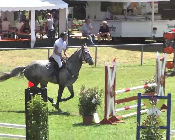 Reitturnier Herrenberg-Gültstein 2016