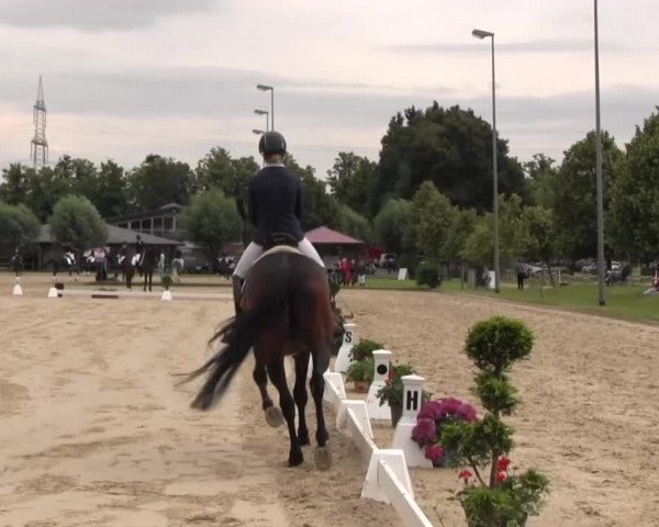 Reitturnier Münster-Roxel 2016