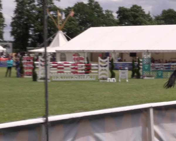 FEI Reitturnier Steinhagen (GER) 2016