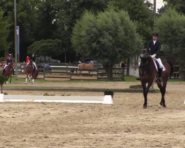 Reitturnier Münster-Roxel 2016
