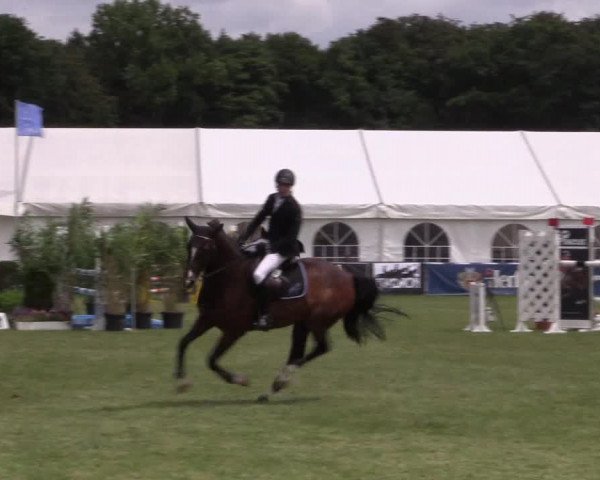 FEI Reitturnier Steinhagen (GER) 2016