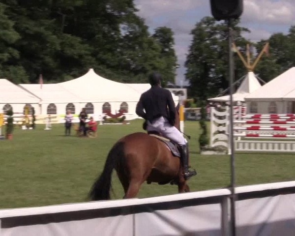 FEI Reitturnier Steinhagen (GER) 2016
