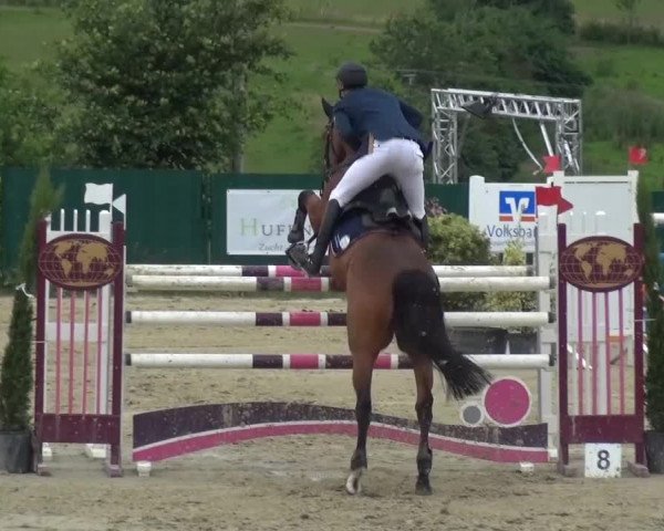 Reitturnier Lindlar-Süttenbach 2016
