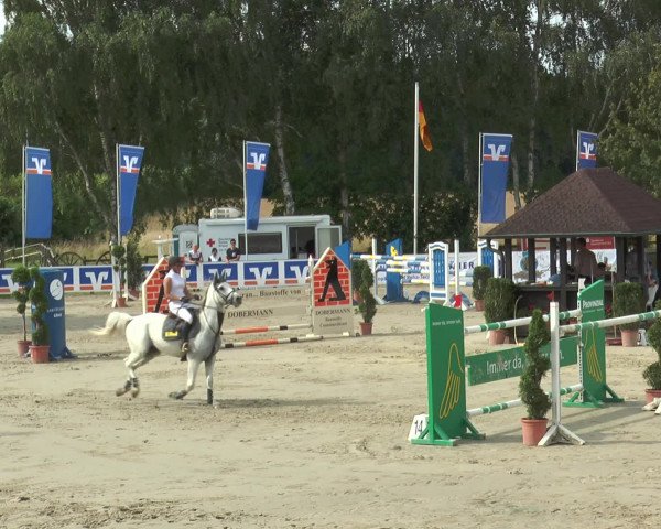 Reitturnier Münster-Roxel 2016