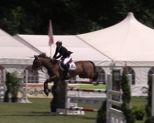 FEI Reitturnier Steinhagen (GER) 2016
