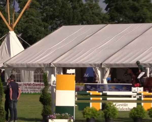 FEI Reitturnier Steinhagen (GER) 2016