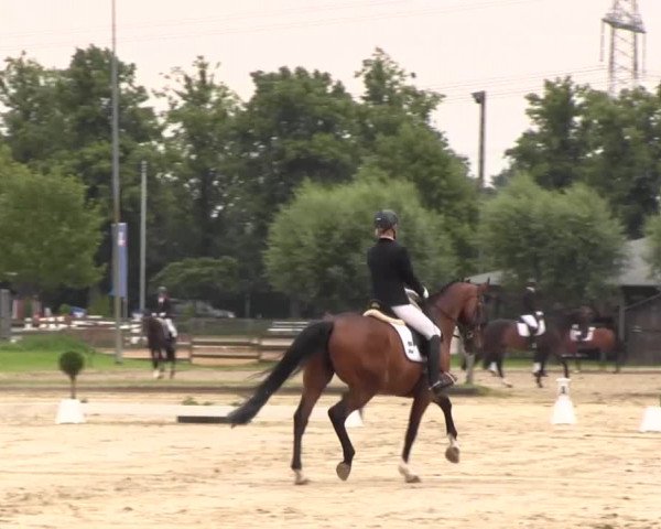 Reitturnier Münster-Roxel 2016
