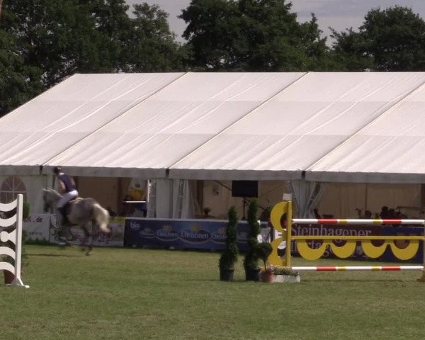 FEI Reitturnier Steinhagen (GER) 2016