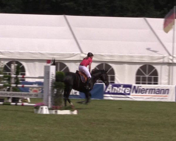 FEI Reitturnier Steinhagen (GER) 2016