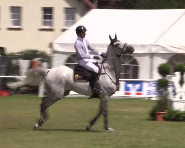 FEI Reitturnier Steinhagen (GER) 2016