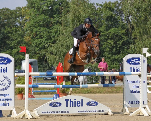 broodmare Carla (Westphalian, 2011, from Comme il Faut)