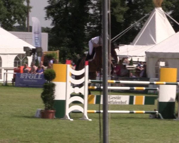 FEI Reitturnier Steinhagen (GER) 2016