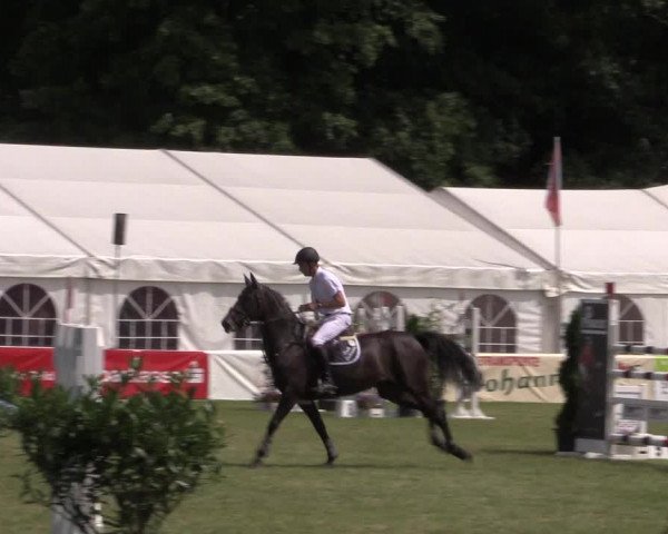 FEI Reitturnier Steinhagen (GER) 2016