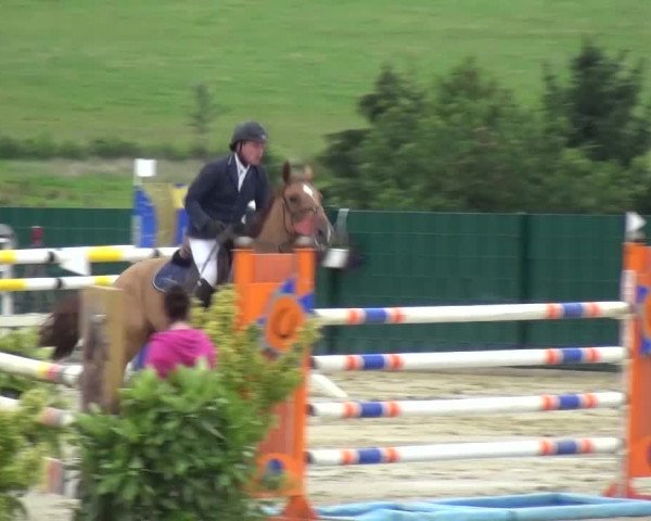 Reitturnier Lindlar-Süttenbach 2016