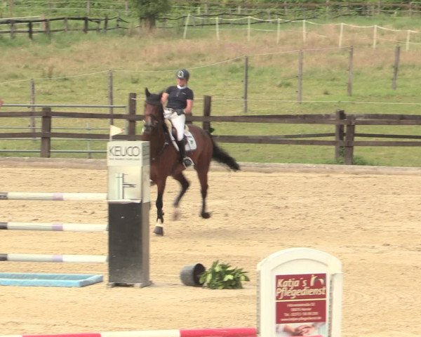 Reitturnier Hemer-Oese an der Edelburg 2016
