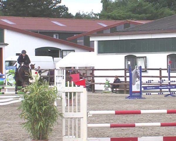 Reitturnier HH-Klein Offenseth/Hell-Stallion-Stud 2016