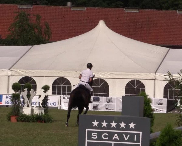 FEI Reitturnier Steinhagen (GER) 2016