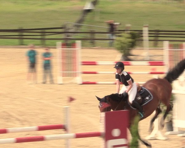 Reitturnier Hemer-Oese an der Edelburg 2016