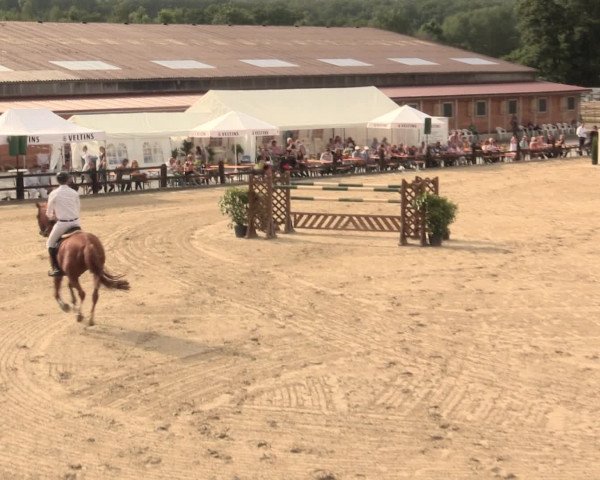 Reitturnier Hemer-Oese an der Edelburg 2016