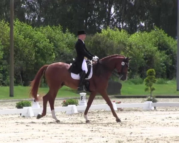 Reitturnier Münster-Roxel 2016