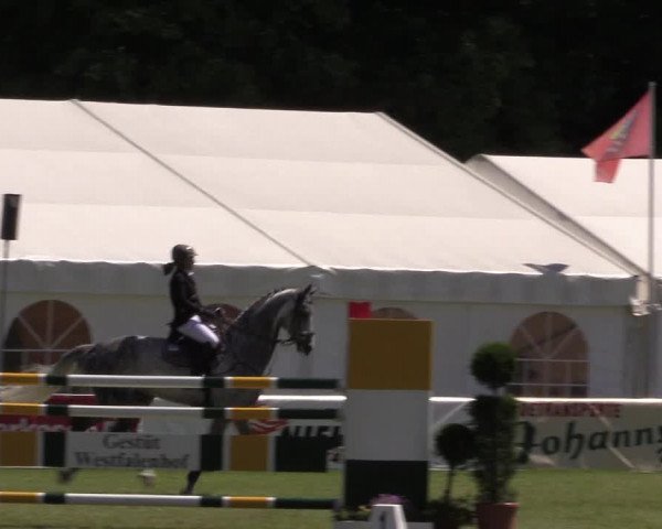 FEI Reitturnier Steinhagen (GER) 2016