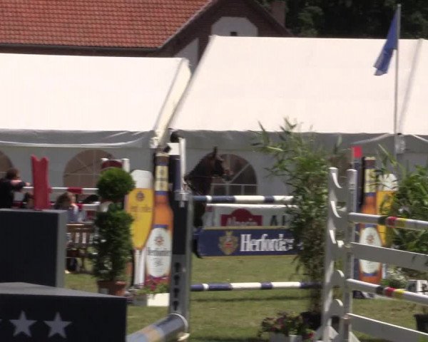 FEI Reitturnier Steinhagen (GER) 2016