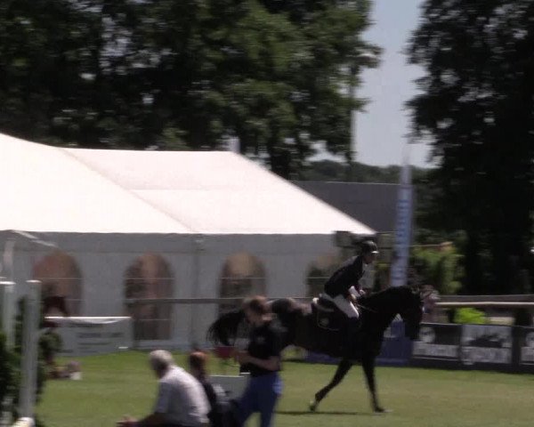 FEI Reitturnier Steinhagen (GER) 2016