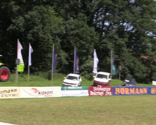 FEI Reitturnier Steinhagen (GER) 2016