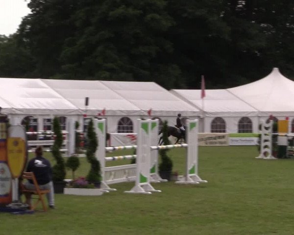 FEI Reitturnier Steinhagen (GER) 2016