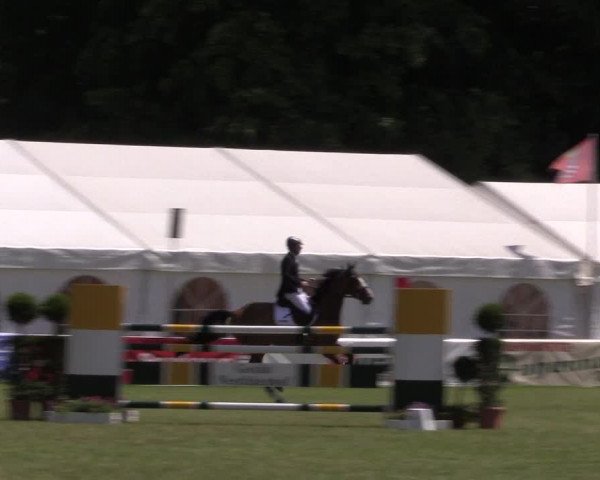 FEI Reitturnier Steinhagen (GER) 2016