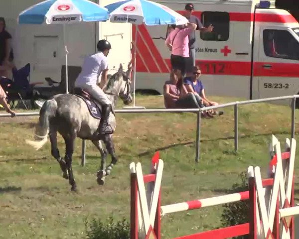 Reitturnier Herrenberg-Gültstein 2016