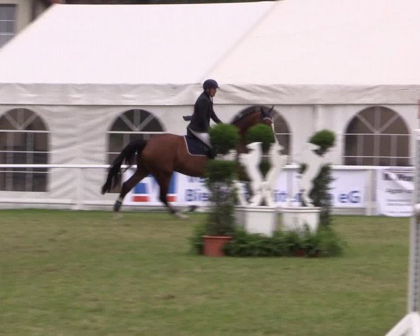 FEI Reitturnier Steinhagen (GER) 2016