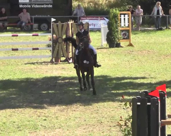 Reitturnier Herrenberg-Gültstein 2016
