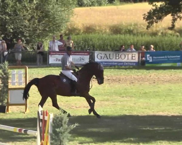 Reitturnier Herrenberg-Gültstein 2016