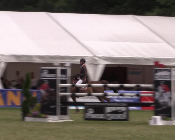 FEI Reitturnier Steinhagen (GER) 2016