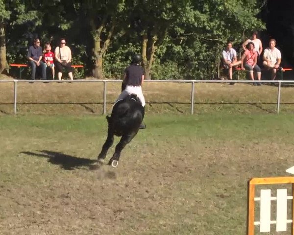 Reitturnier Herrenberg-Gültstein 2016