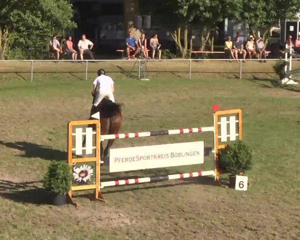 Reitturnier Herrenberg-Gültstein 2016