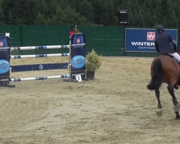 Reitturnier Lindlar-Süttenbach 2016