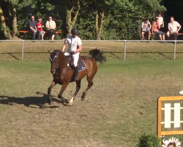 Reitturnier Herrenberg-Gültstein 2016