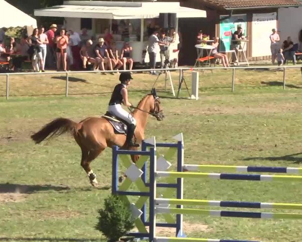Reitturnier Herrenberg-Gültstein 2016