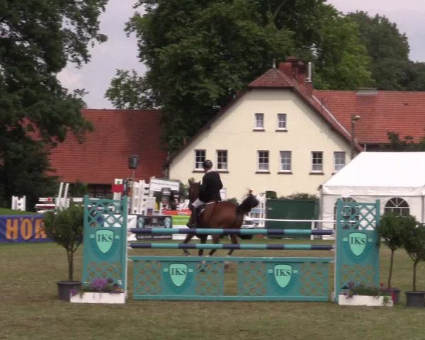 FEI Reitturnier Steinhagen (GER) 2016