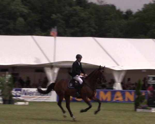 FEI Reitturnier Steinhagen (GER) 2016