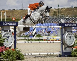jumper Clooney 51 (Westphalian, 2006, from Cornet Obolensky)