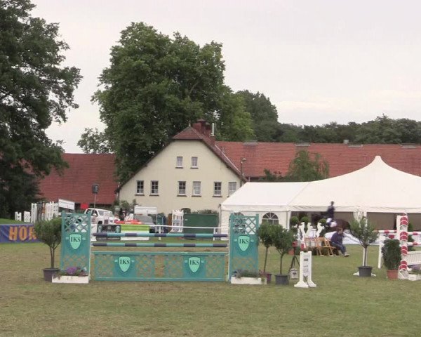 FEI Reitturnier Steinhagen (GER) 2016