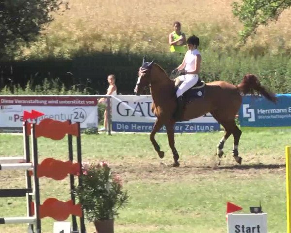 Reitturnier Herrenberg-Gültstein 2016