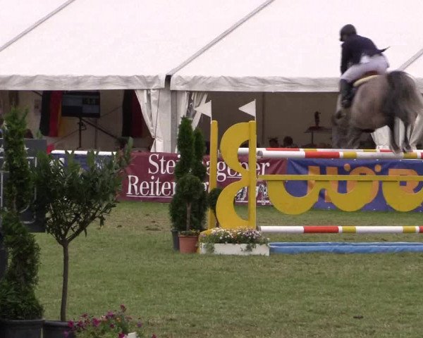 FEI Reitturnier Steinhagen (GER) 2016