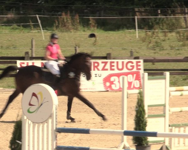 Reitturnier Hemer-Oese an der Edelburg 2016
