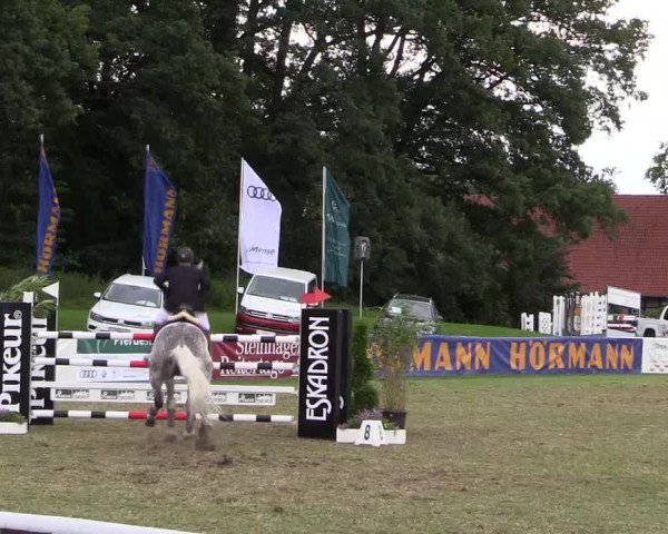 FEI Reitturnier Steinhagen (GER) 2016